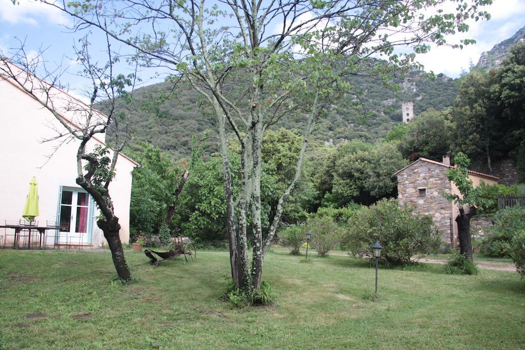 Chateau De Colombieres Sur Orb Exterior photo